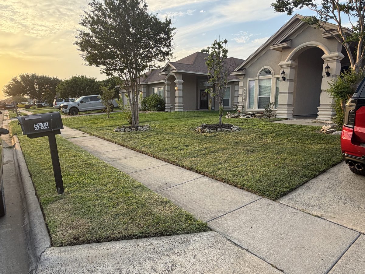 Clean manicured lawn after PrimeEdge service