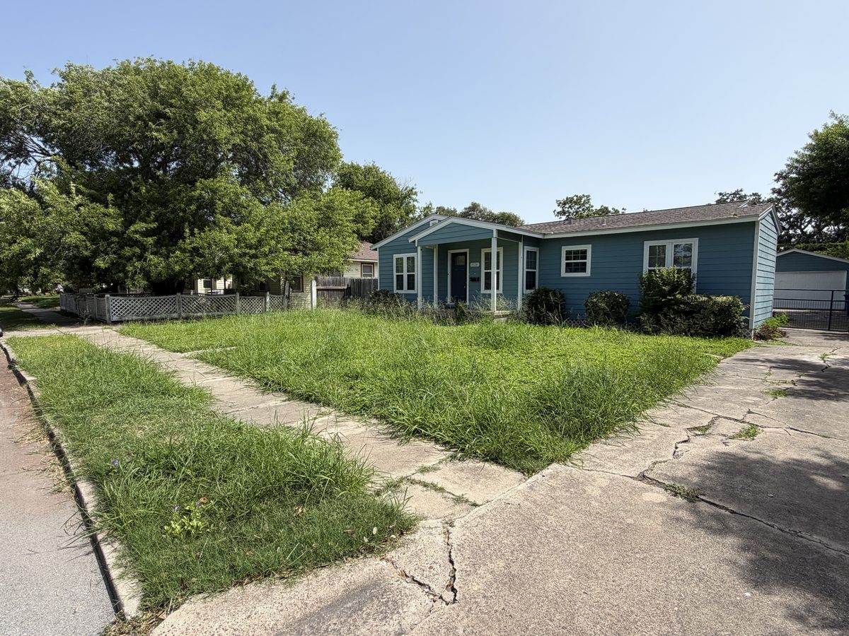 Overgrown lawn before PrimeEdge service