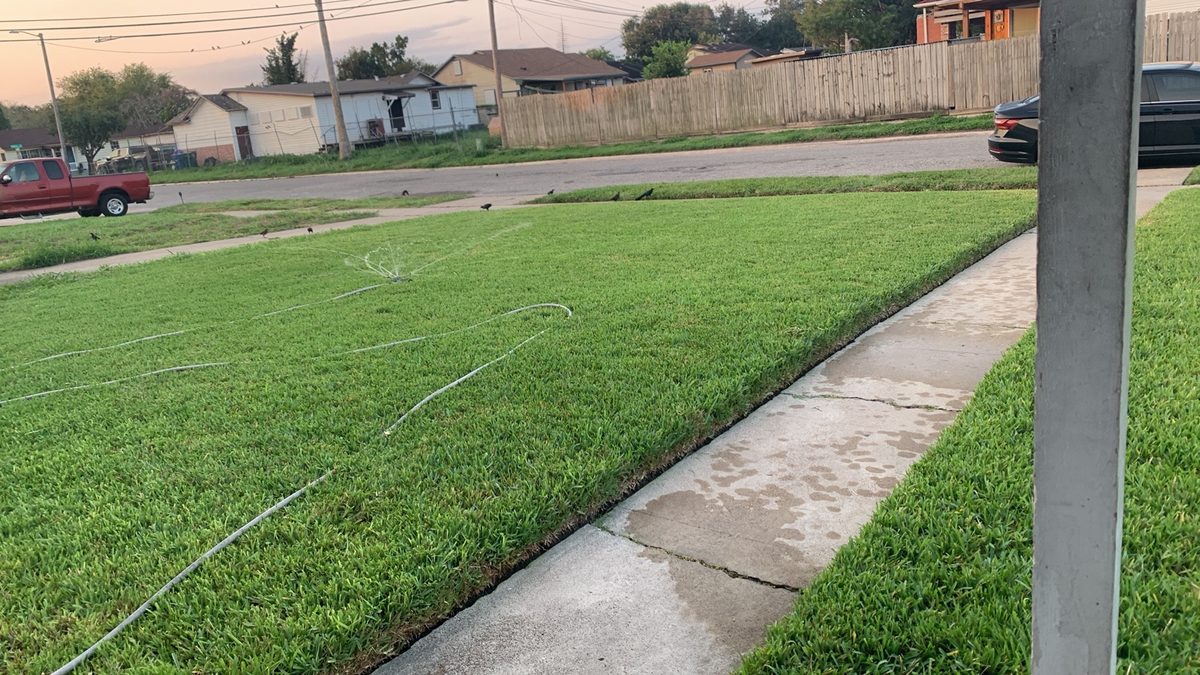 Healthy green lawn with sprinkler