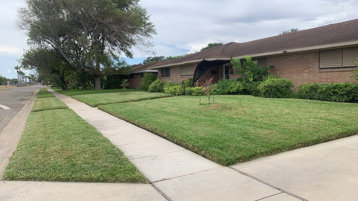 Lush green lawn with precision edging by PrimeEdge